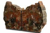 Tall Colorful Arizona Petrified Wood Bookends #338261-2